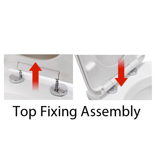 Lauren White Minimalist DShape Back To Wall Toilet Pan